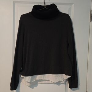 Les Serein Turtleneck Sweater